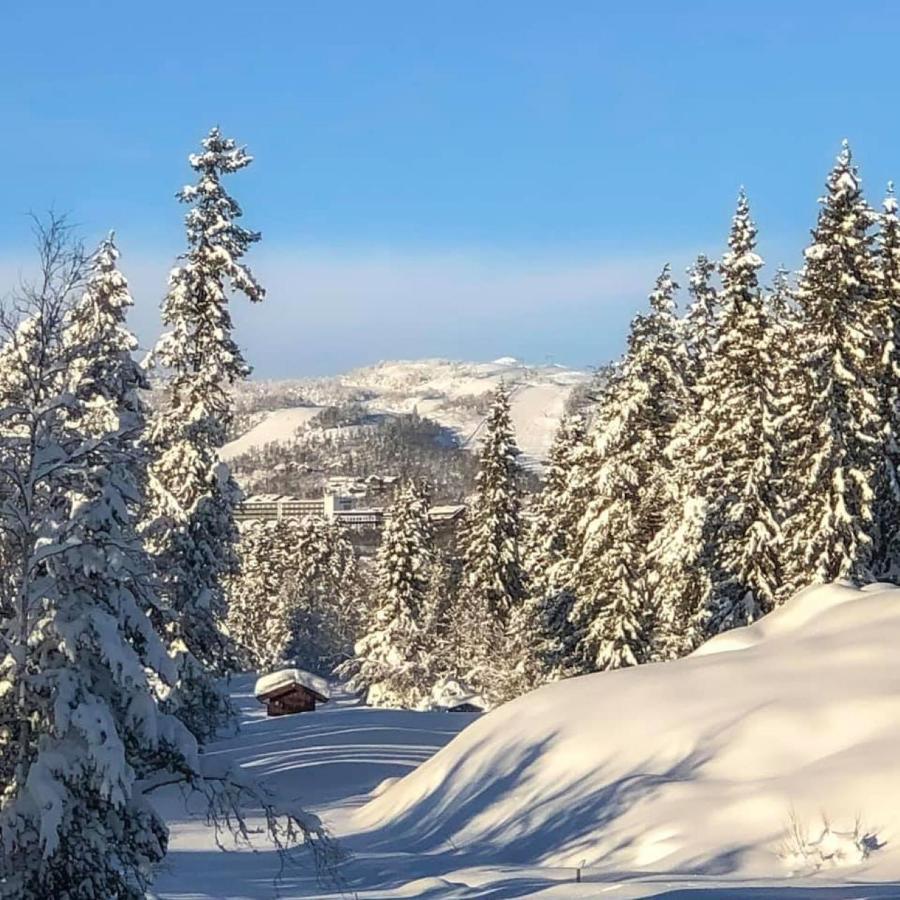 Leilighet Beitostolen Sentrum, Terrasse Og Innendors Parkering Kültér fotó